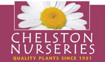 Cheslton Nurseries